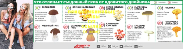 PSILOCYBIN Остров