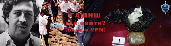 гидра Пересвет
