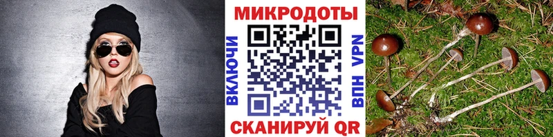 Галлюциногенные грибы Cubensis Сертолово