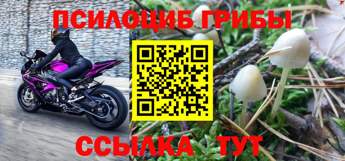 Галлюциногенные грибы Magic Shrooms Сертолово