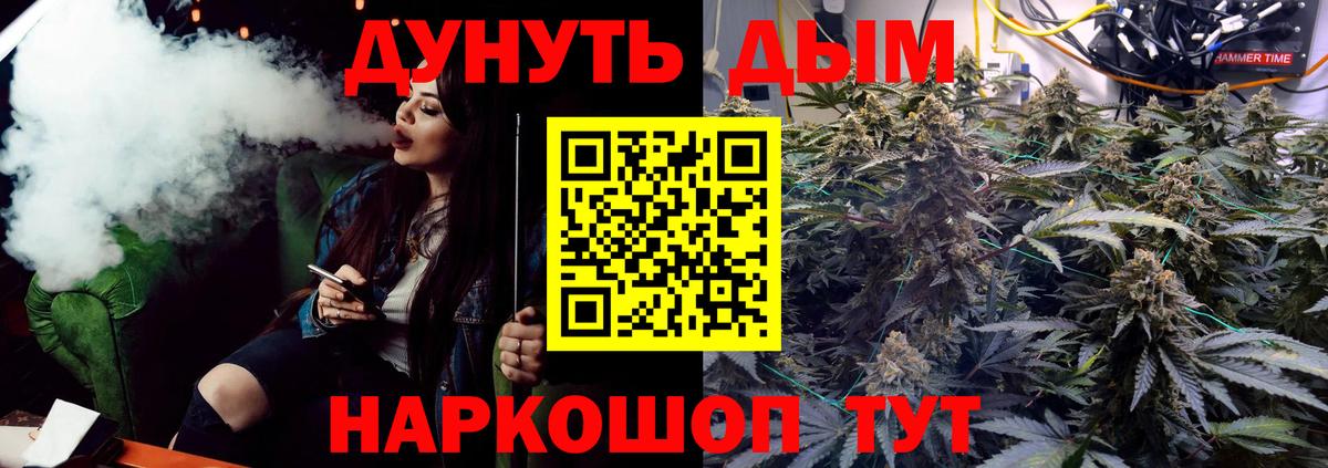 Бошки Шишки конопля  Сертолово  Бошки Шишки Amnesia  Шишки марихуана марихуана  Марихуана VHQ 